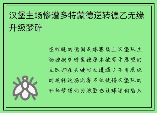 汉堡主场惨遭多特蒙德逆转德乙无缘升级梦碎